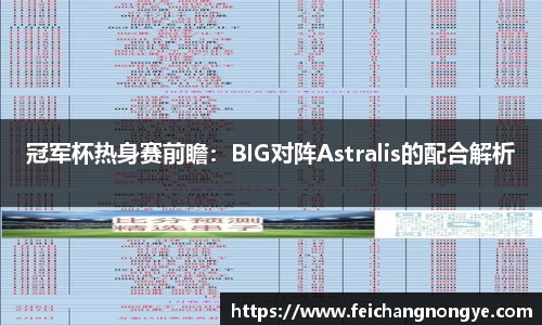 冠军杯热身赛前瞻：BIG对阵Astralis的配合解析