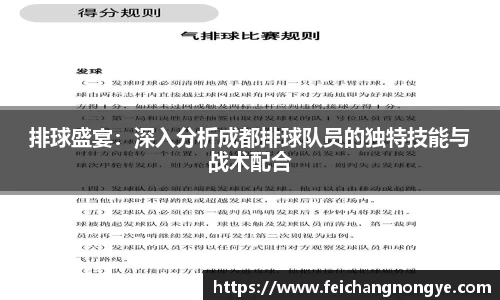 排球盛宴：深入分析成都排球队员的独特技能与战术配合