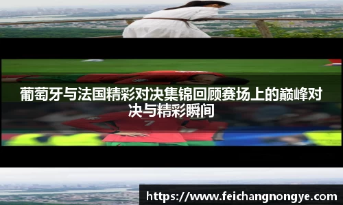 葡萄牙与法国精彩对决集锦回顾赛场上的巅峰对决与精彩瞬间