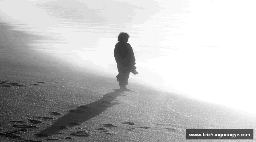 无畏风雨，只为荣耀！